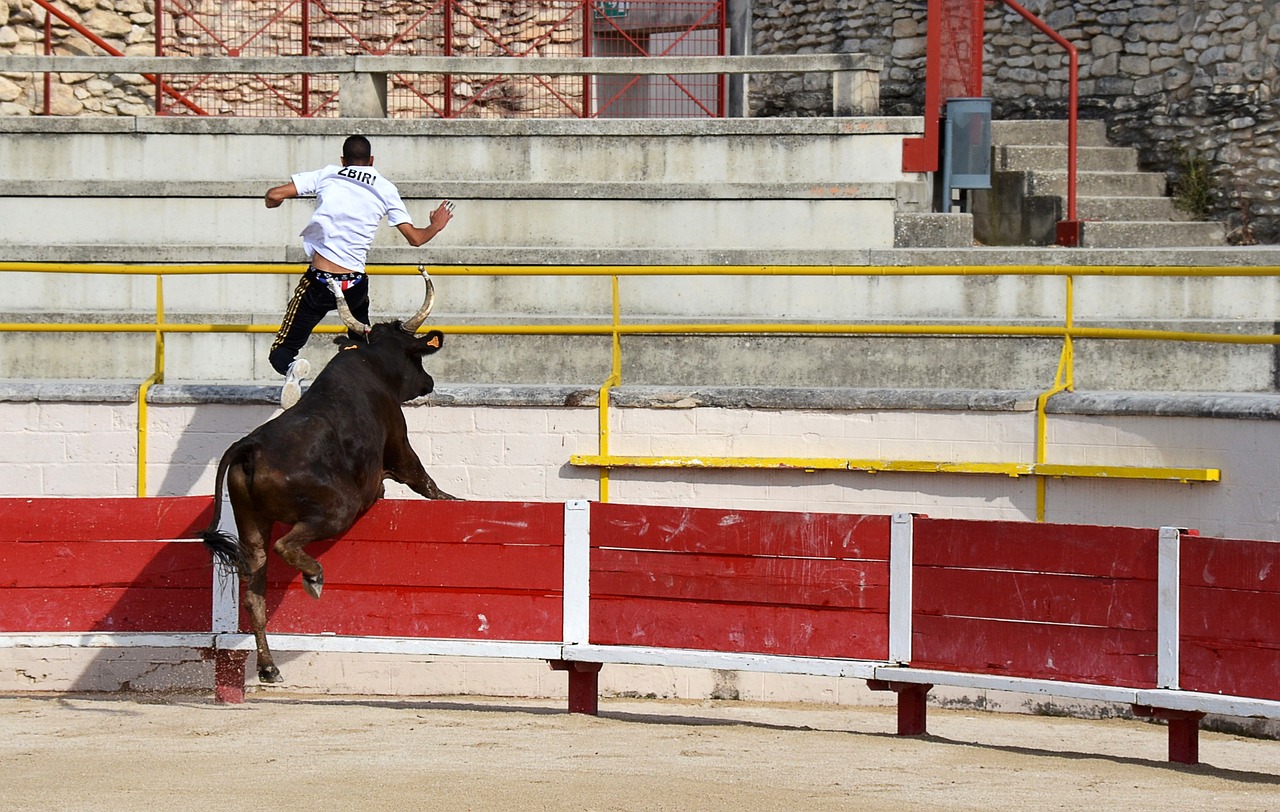 安东尼